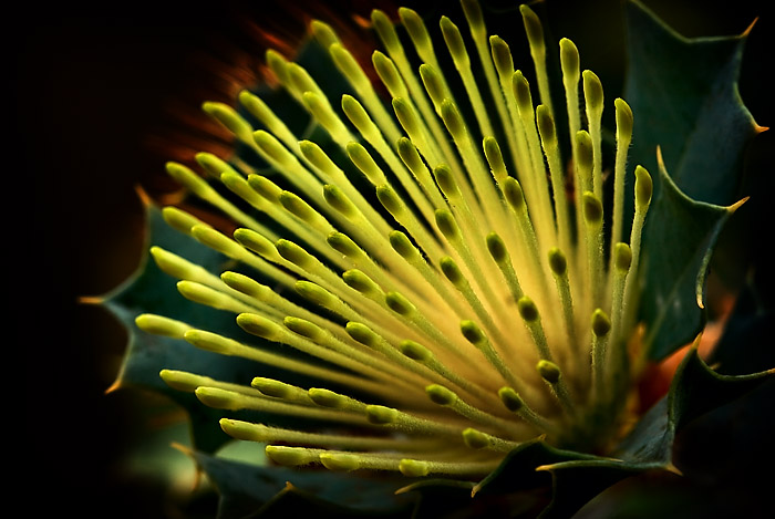 A Small Green Torch