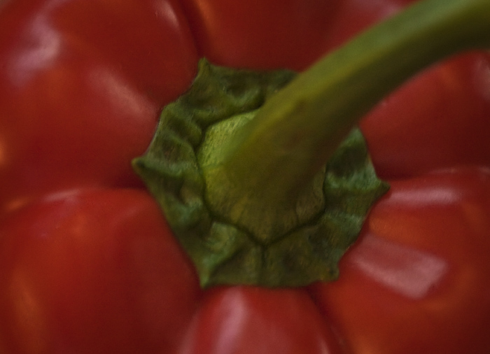 Fruit or Veggie??