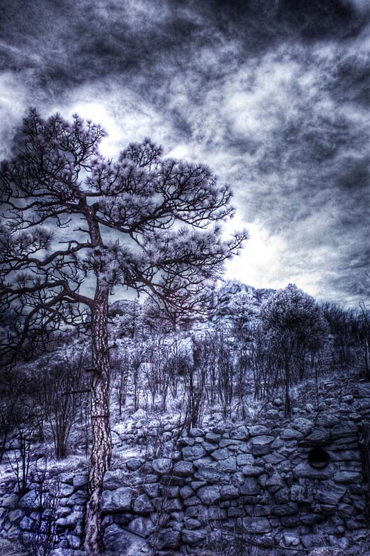 The Storm Breaks