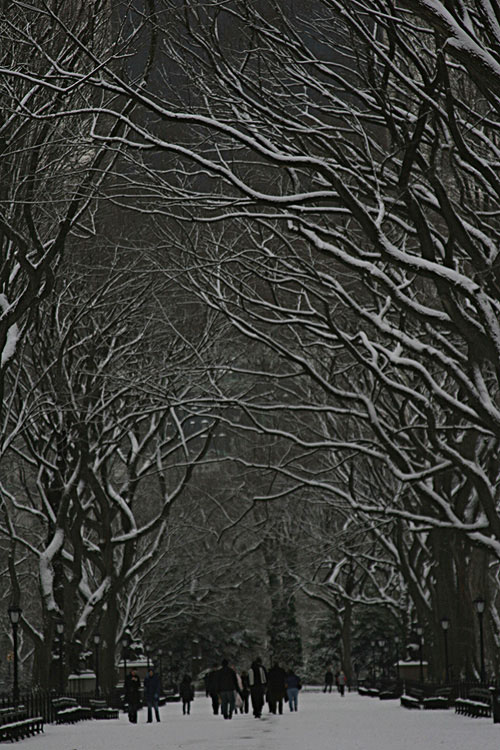 Branches
