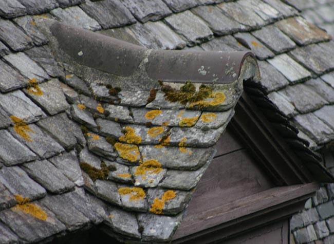french roof