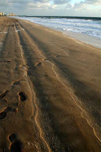 9th (tie) - Shoreline by Mary Anne
