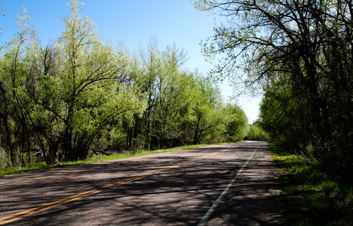 Morning Drive