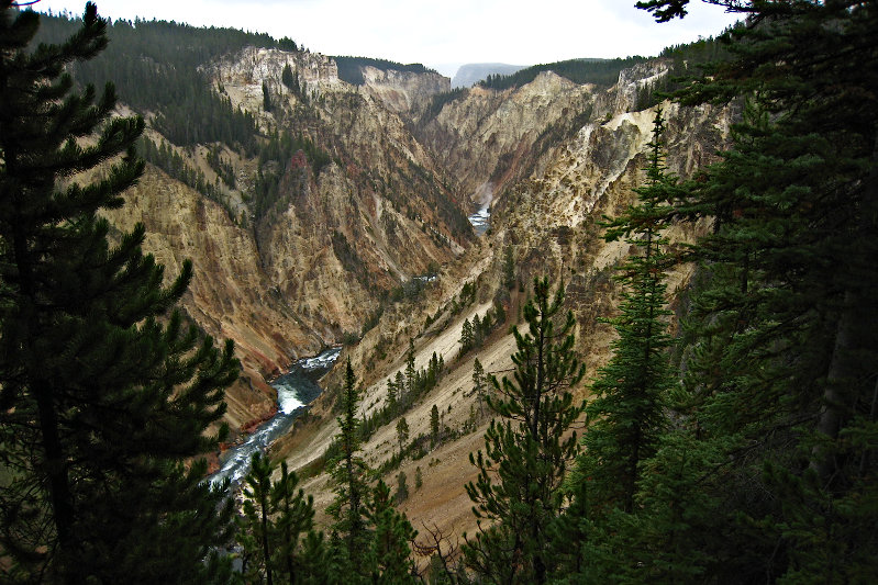 2917 South Rim