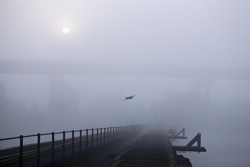 First Place - Foggy Morning Sunrise - by Troy