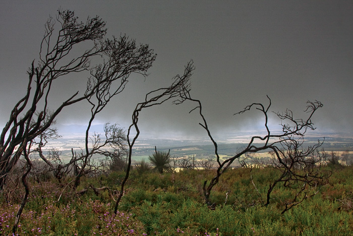 Fourth Place - Porongurup - by Rain Man