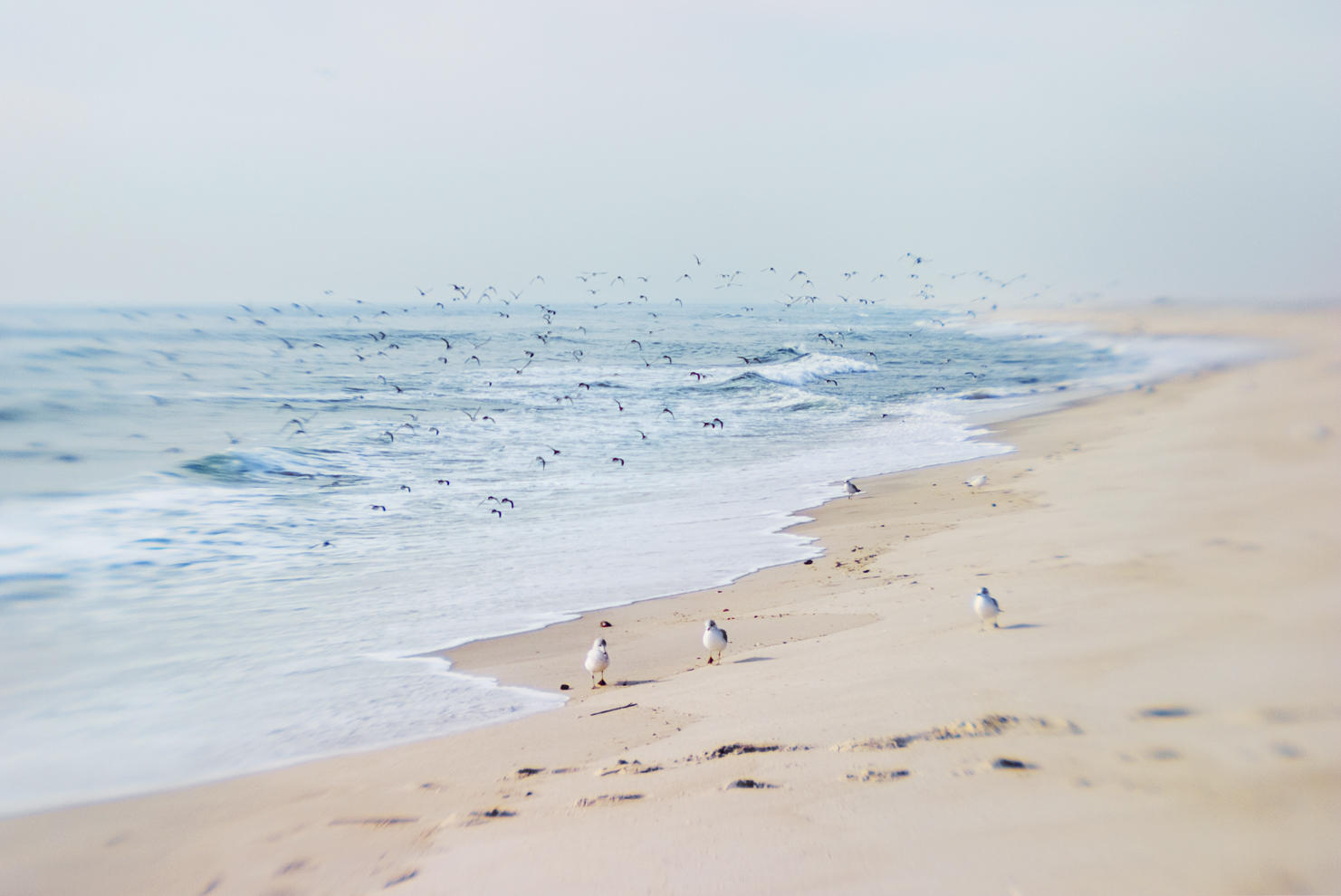 Jones Beach - Off Season
