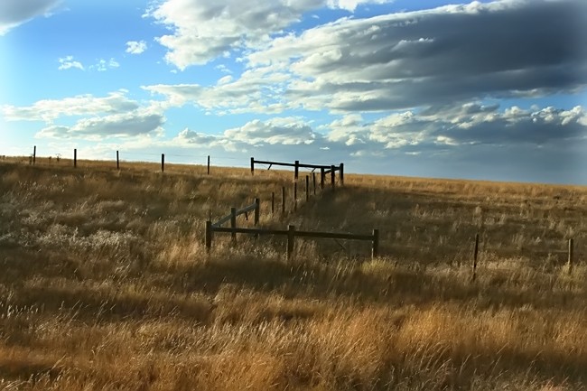 High Plains Horizon