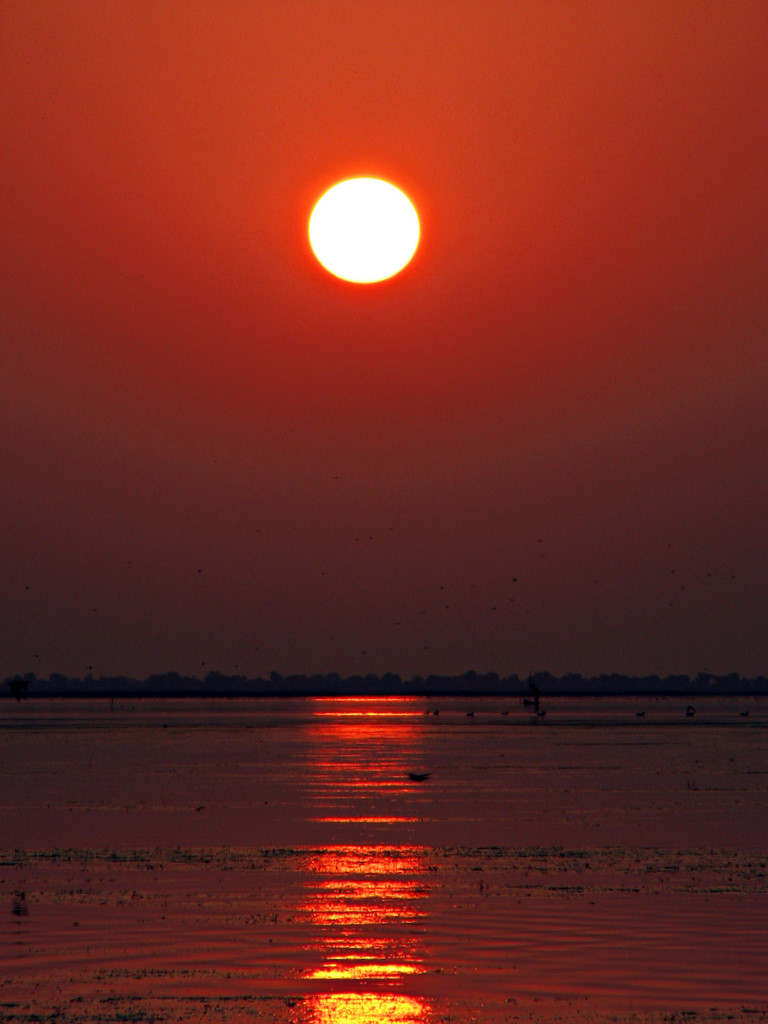 Shimmer