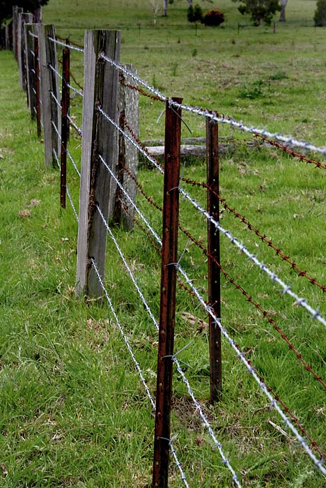 Wire