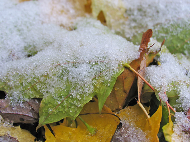 Changing seasons