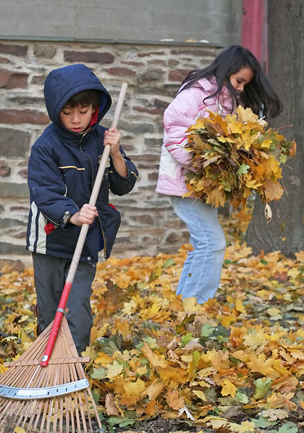 Raking leaves for  $$change$$