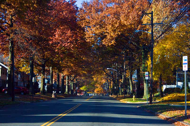 Changing Colors (aka Autumn Morning Light)