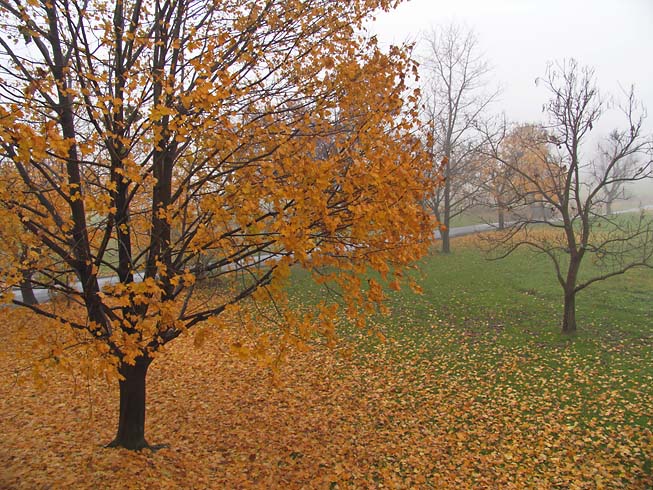 Seasons