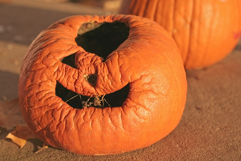 <b>10th: </b>Since Halloween<br>by sueanne