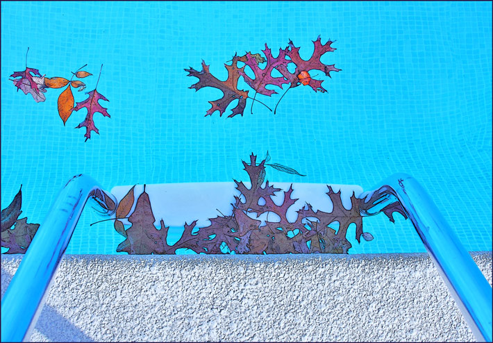 <b>6th (tie): </b>Change of Seasons<br>by Lydia too