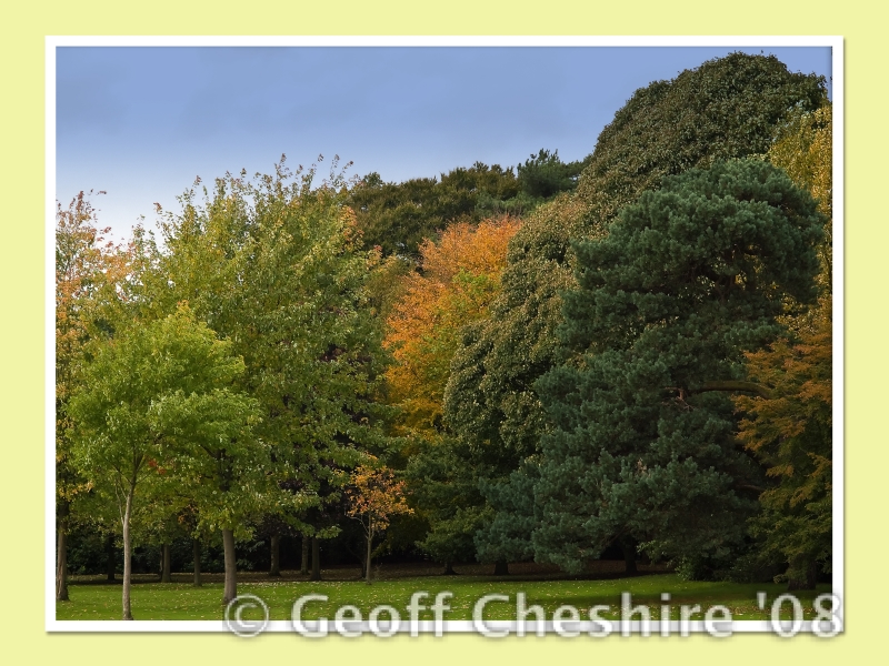 The colours of Autumn