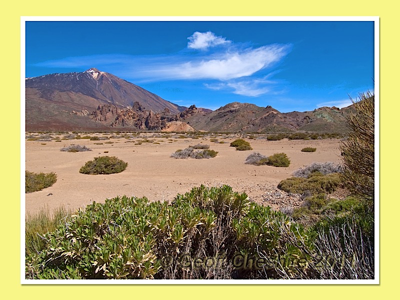 Teide (3)