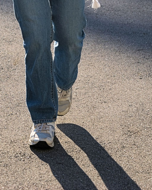 walking feet