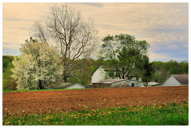 Morning at Maximuck Farm