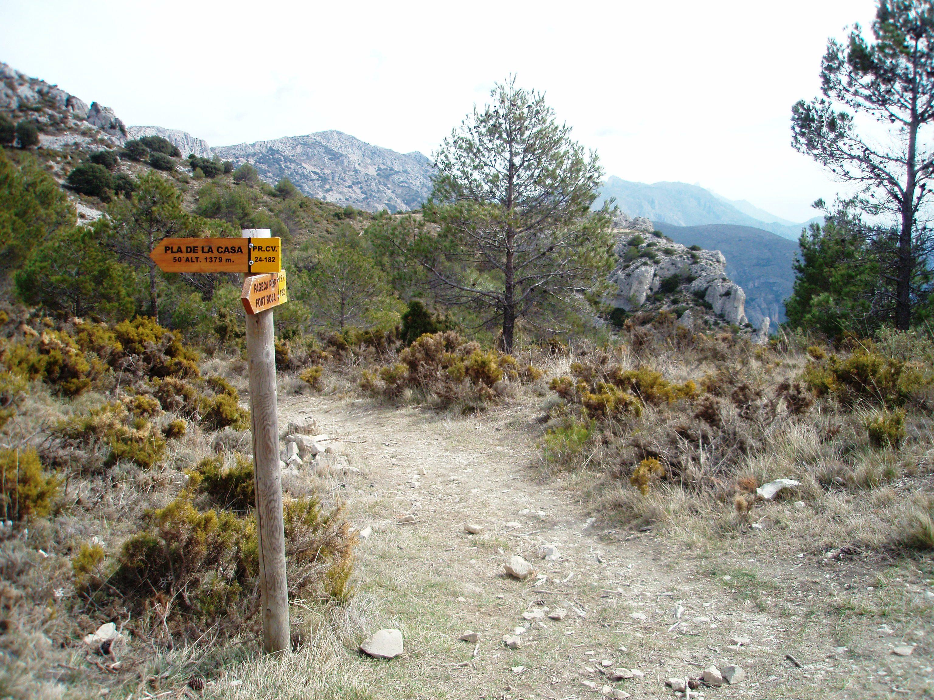 Collado de Borrell