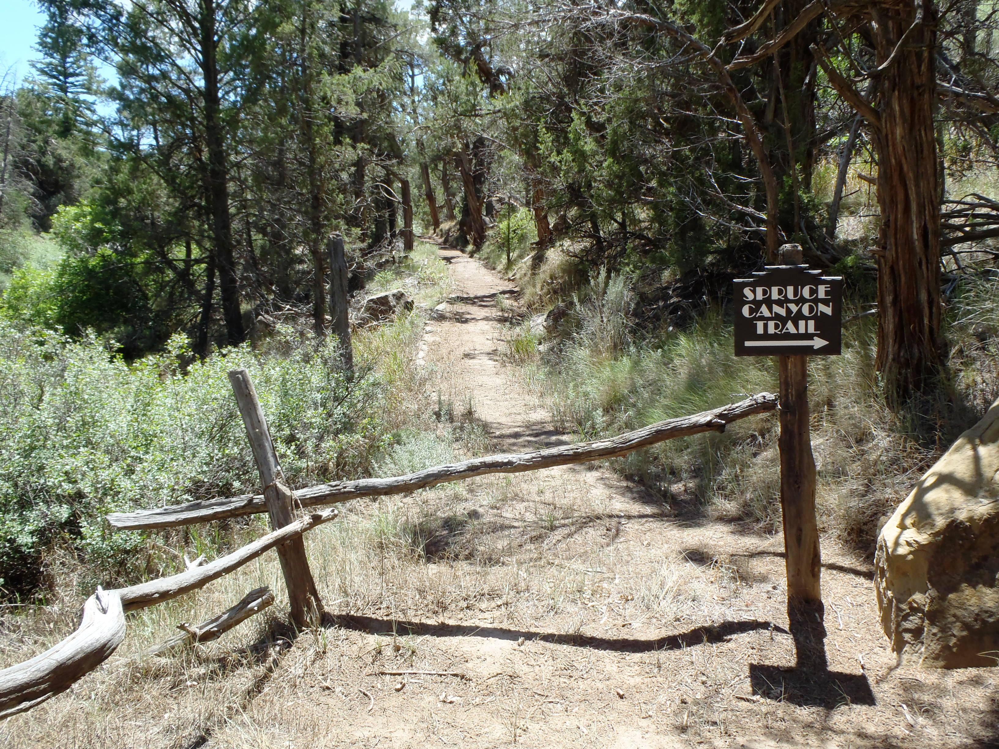 Sharp turn