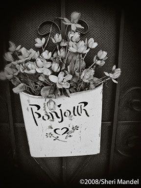 0161-006-BW-C.jpg