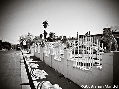 0161-066-BW-D.jpg
