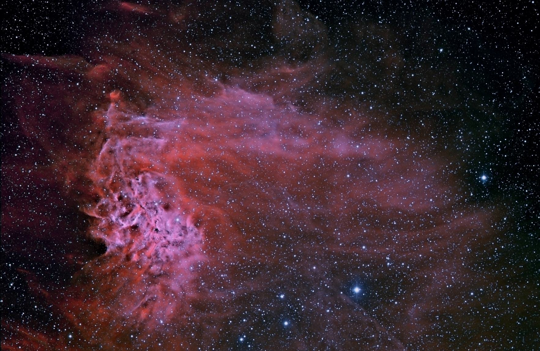 The flaming star nebula