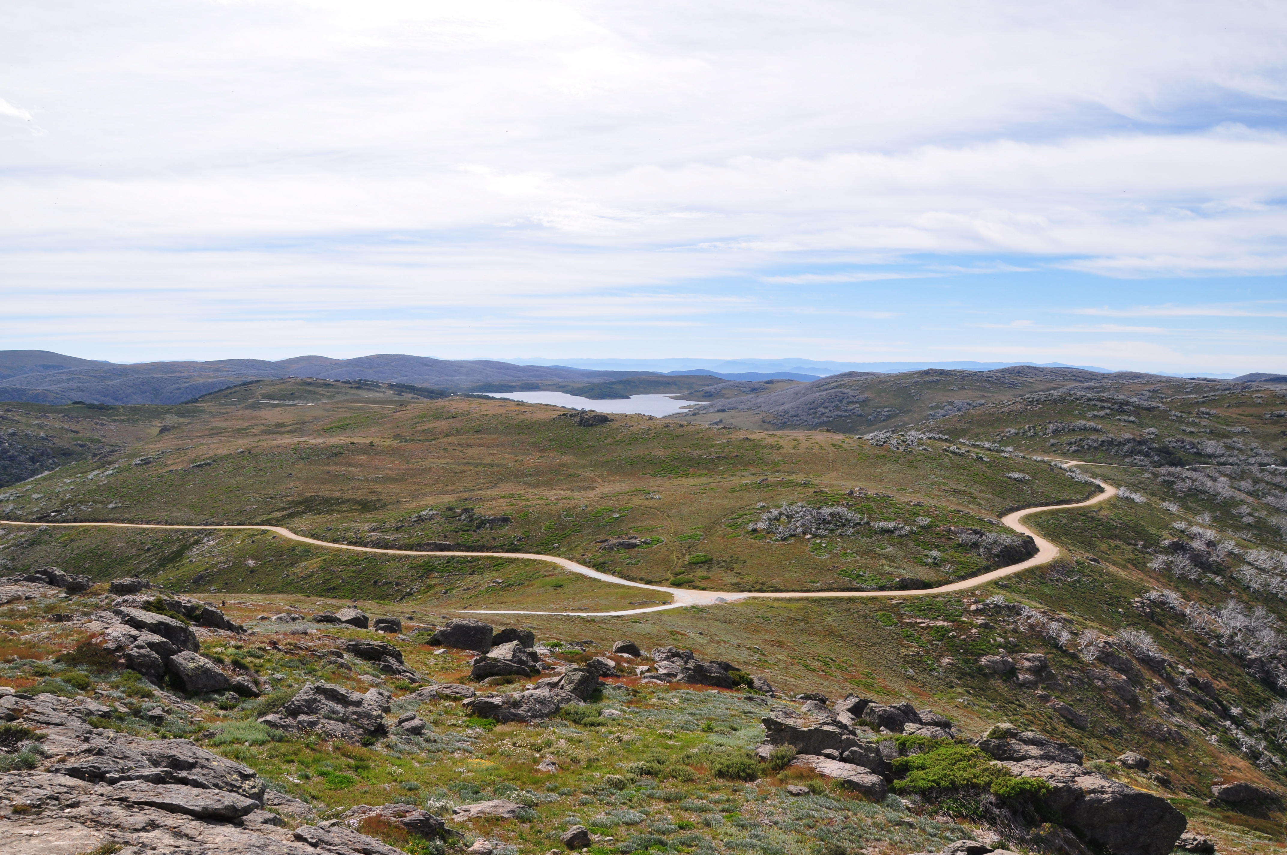 DSC_0504.JPG