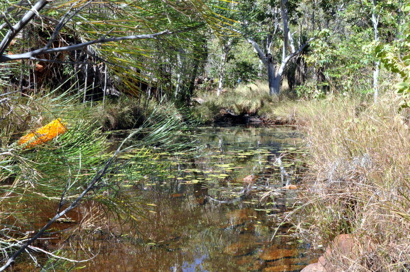 Galvans Gorge