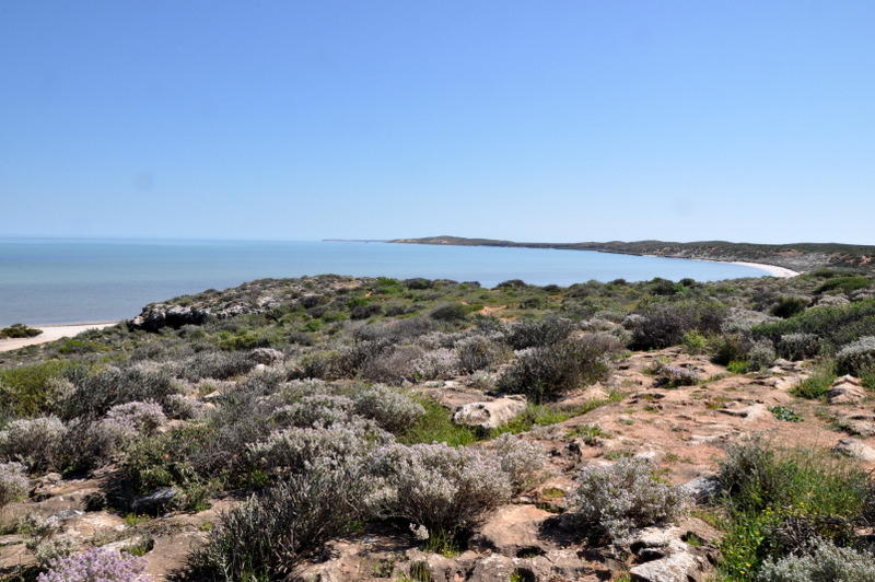 Denham Sound