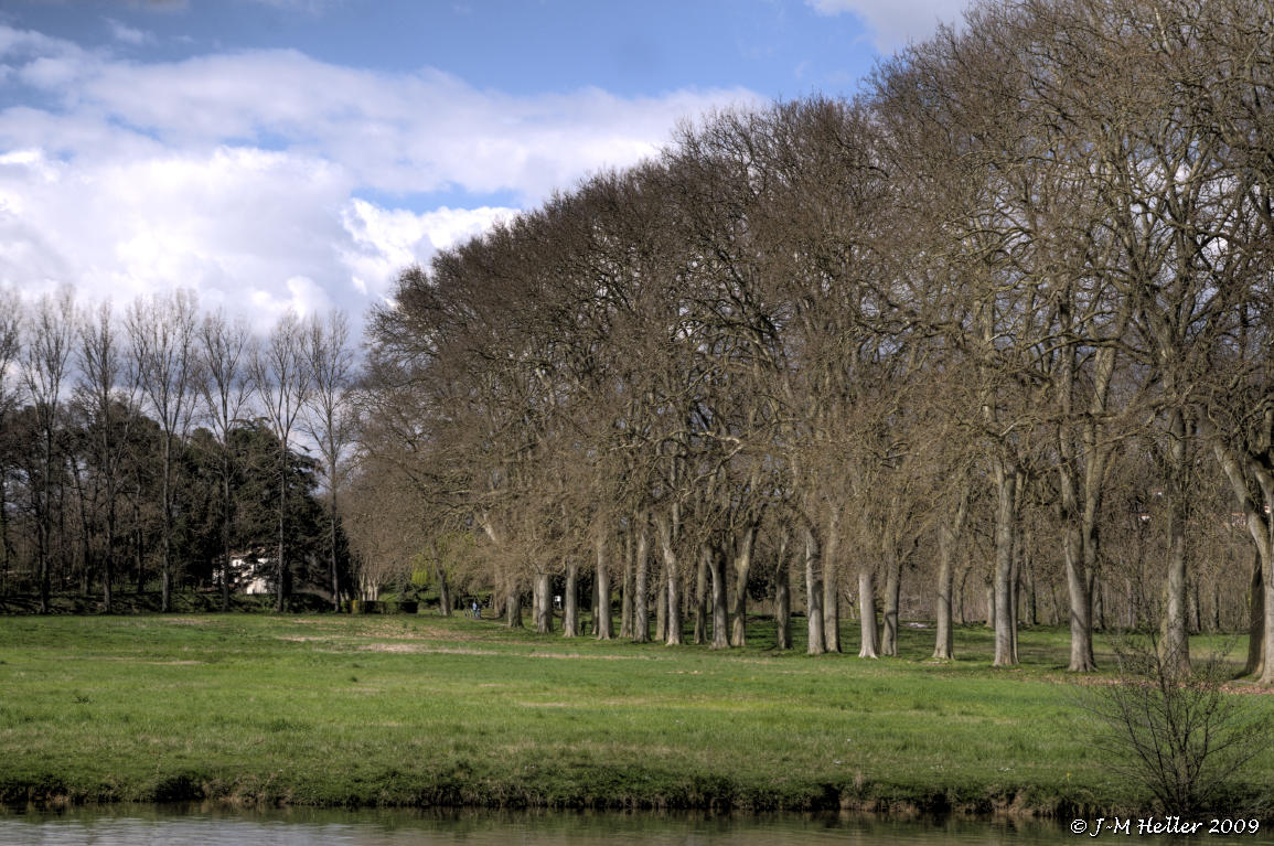 allée naurouze.JPG
