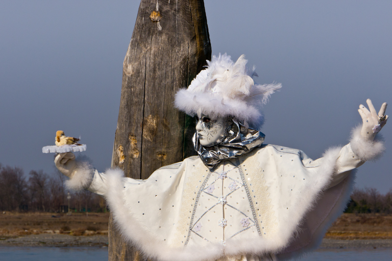 Venice Carnival 2012
