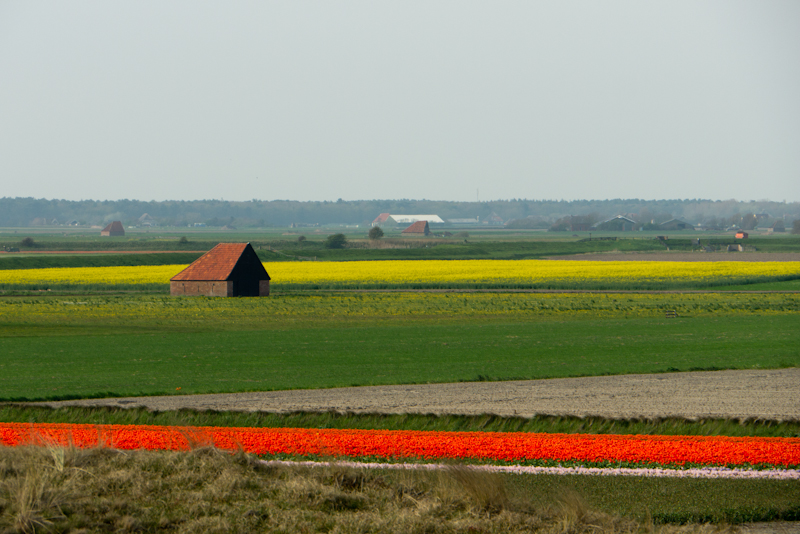 Texel