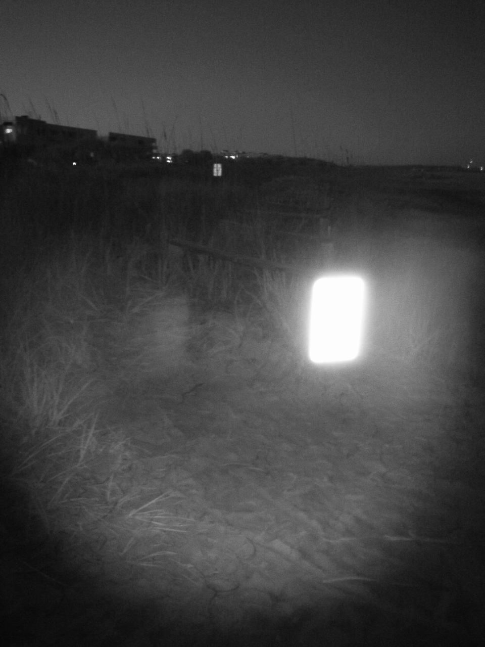 Night Vision