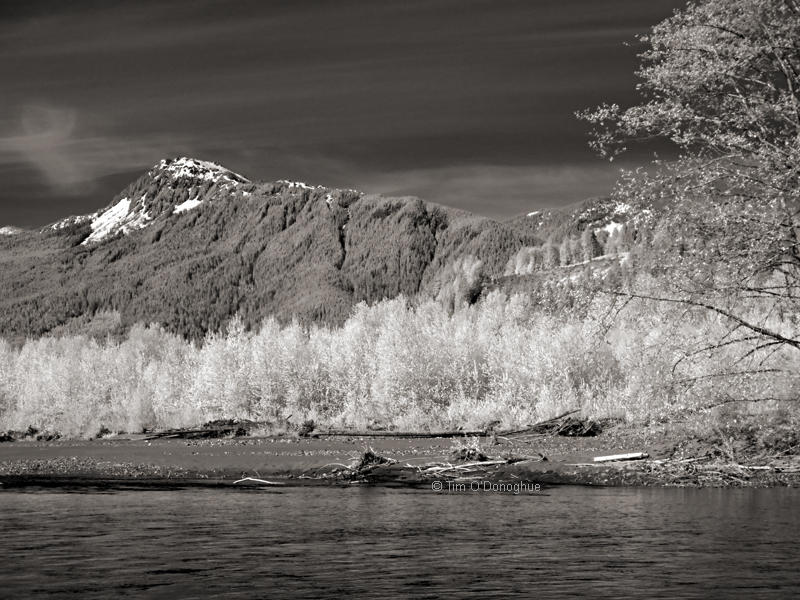 Sauk Mountain & Skagit River