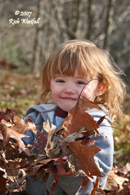 December 1, 2007  -  Madison helps in the leaves