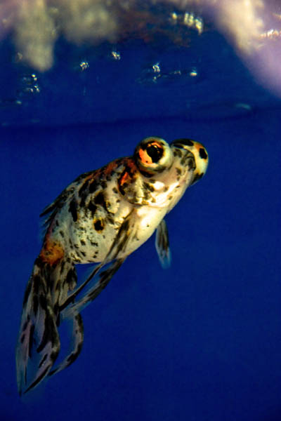 IMG_7383r.jpg