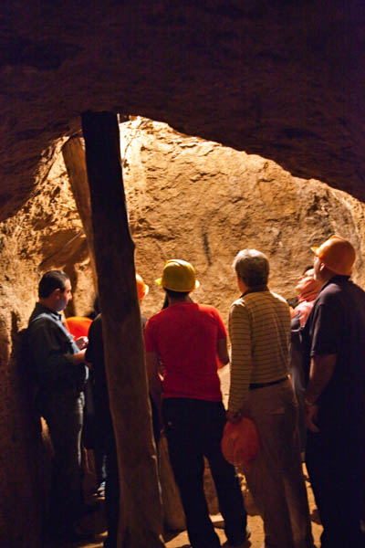 Visitors