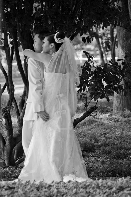 Coupled by Love