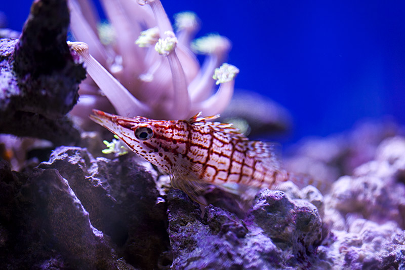 _MG_7869r.jpg