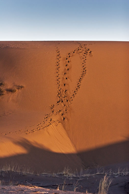 Sand Hill