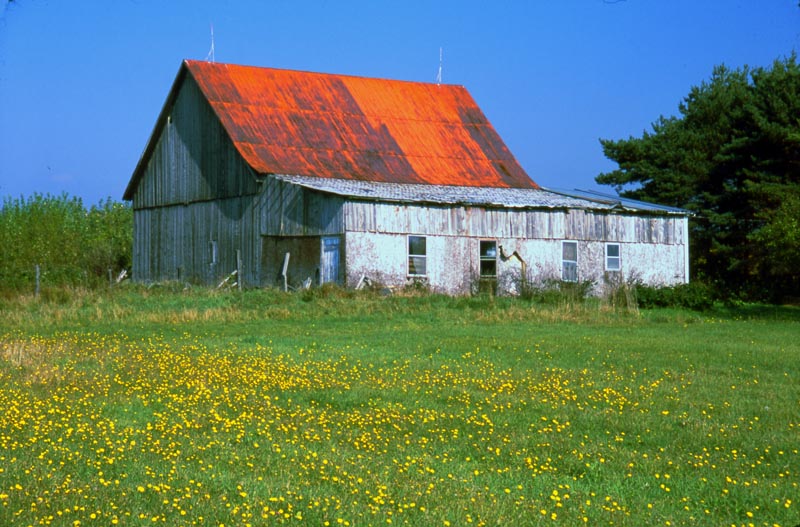 barn with red roof
