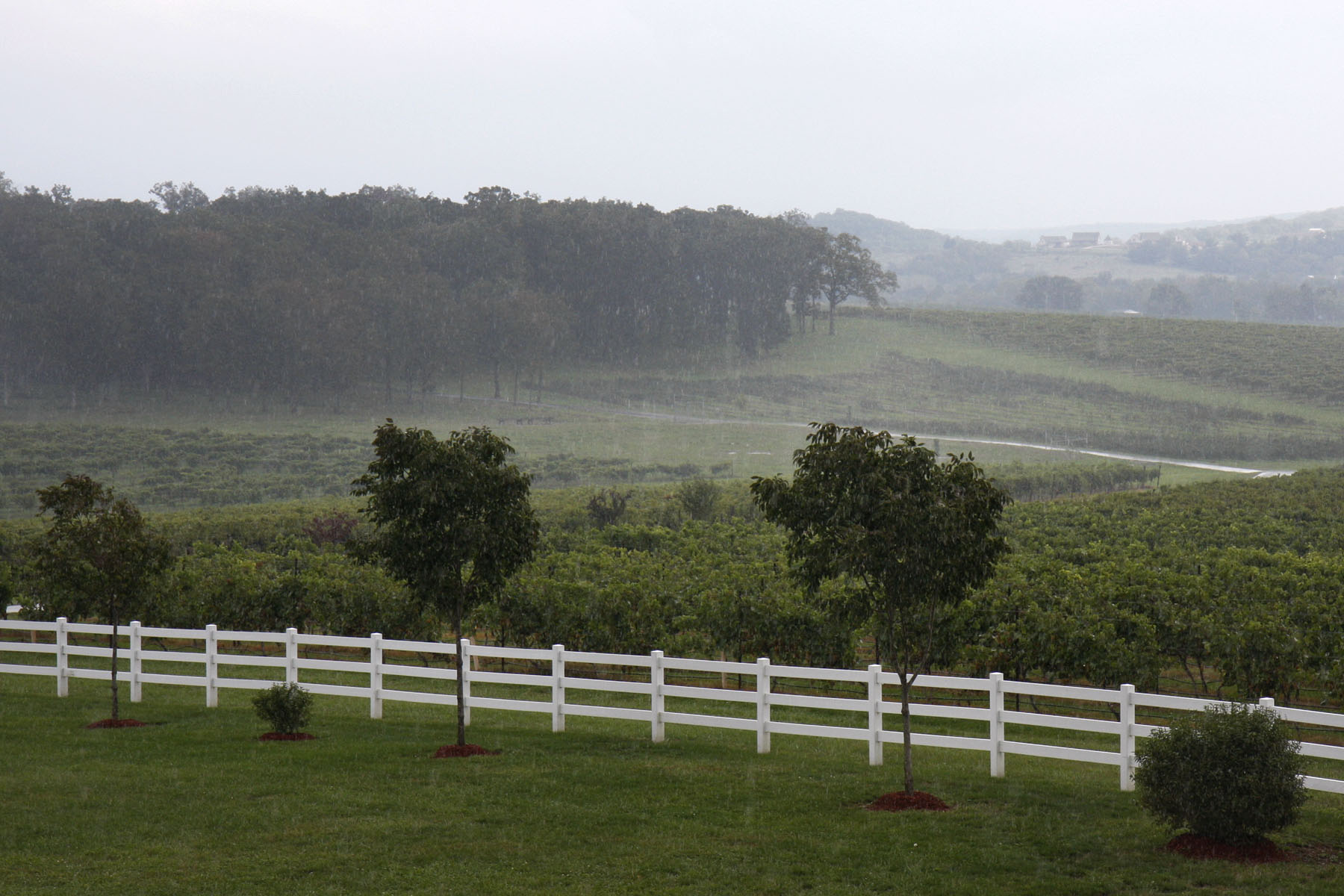 Crown Valley (2210).JPG
