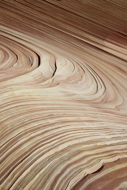 The Wave