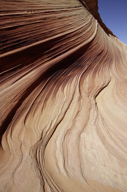 The Wave