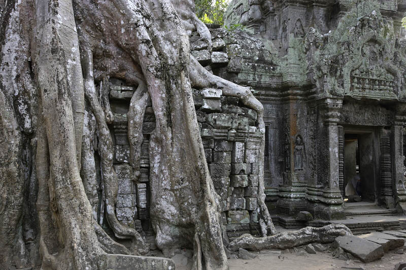 Ta Prohm