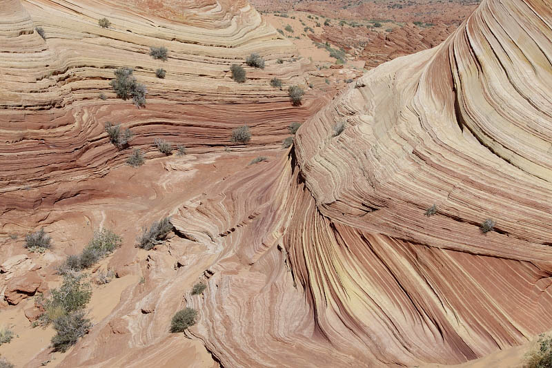 View from the entrance of the Wave