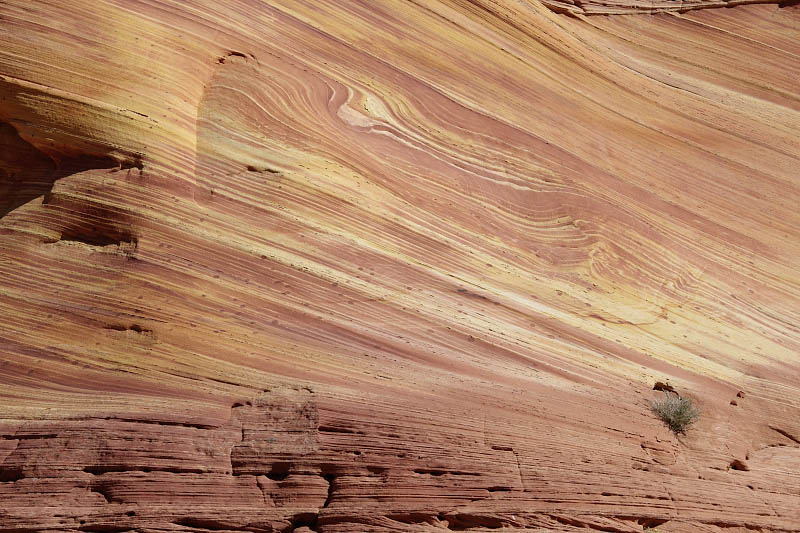 View from the entrance of the Wave